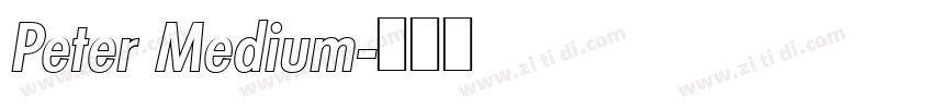 Peter Medium字体转换 Peter Medium字体转换